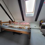 Rent 1 bedroom apartment of 20 m² in Zruč nad Sázavou