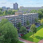 Rent 4 bedroom apartment in Zoetermeer