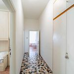 Rent 2 bedroom apartment of 68 m² in Bologna