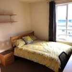 Rent 5 bedroom apartment in Washington