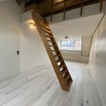Rent 4 bedroom house of 115 m² in Bennekel-Oost