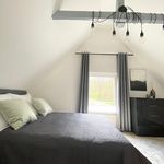 Rent 2 bedroom apartment of 50 m² in Detmold