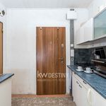 Rent 1 bedroom apartment of 31 m² in Teplice