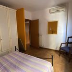 Rent 4 bedroom apartment of 100 m² in Nettuno