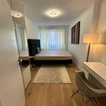 Rent 2 bedroom apartment of 85 m² in München