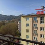 Rent 2 bedroom apartment of 64 m² in Karlovy Vary