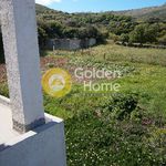 Ενοικίαση 1 υπνοδωμάτια σπίτι από 67 m² σε Andros