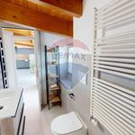 Rent 2 bedroom apartment of 61 m² in Segrate