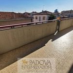 Rent a room of 120 m² in Padova