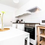 Rent 2 bedroom apartment of 60 m² in cologne