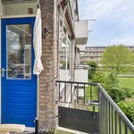 Rent 2 bedroom apartment of 59 m² in Alkmaar