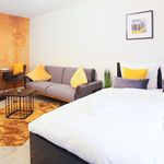 Rent 1 bedroom apartment of 31 m² in Mannheim