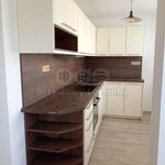 Rent 2 bedroom apartment of 54 m² in Roztoky