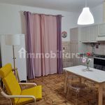 2-room flat excellent condition, ground floor, Poggio Alla Malva, Carmignano