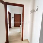 Rent 3 bedroom apartment of 100 m² in Piacenza