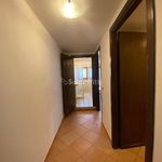 Rent 4 bedroom apartment of 70 m² in San Felice Circeo