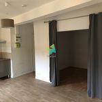 Rent 1 bedroom apartment of 37 m² in Perpignan