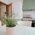 Rent 3 bedroom apartment of 55 m² in Udine