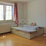Rent 1 bedroom apartment of 25 m² in Svitavy