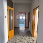 Rent 4 bedroom apartment of 160 m² in Foligno