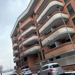 Rent 1 bedroom apartment of 30 m² in Novara