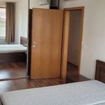 Rent 4 bedroom apartment of 135 m² in Konstantinovy Lázně