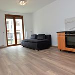 Rent 1 bedroom apartment of 26 m² in Cracow