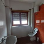 Rent 3 bedroom apartment of 120 m² in Sant'Alessio in Aspromonte