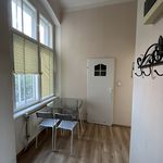 Rent 1 bedroom apartment of 32 m² in Nysa