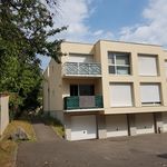 Rent 1 bedroom apartment of 20 m² in Mulhouse