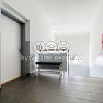Rent 2 bedroom apartment of 46 m² in Zbůch