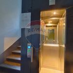 Rent 1 bedroom house of 19 m² in Turin