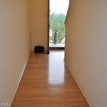 Rent a room of 163 m² in Northville