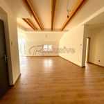 Rent 3 bedroom apartment of 86 m² in Zichovec