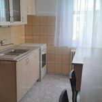 Rent 2 bedroom apartment of 53 m² in Oroszlány