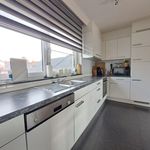 Rent 1 bedroom apartment in Houthalen-Helchteren