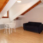 Rent 1 bedroom apartment of 20 m² in ANNECY