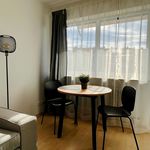 Rent 1 bedroom apartment of 32 m² in Nürnberg