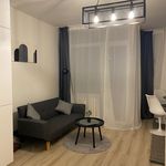 Rent 1 bedroom apartment of 30 m² in Berlin