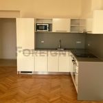 Rent 1 bedroom apartment of 65 m² in Plzeň