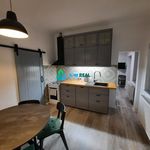 Rent 1 bedroom apartment of 95 m² in Brno