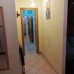Rent 1 bedroom apartment of 70 m² in Rome