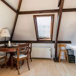 Rent 3 bedroom house of 120 m² in Utrecht