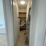 Rent 5 bedroom apartment of 100 m² in Bologna