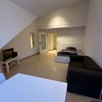 Miete 1 Schlafzimmer wohnung von 35 m² in Magdeburg