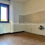 Rent 2 bedroom apartment of 66 m² in Novara