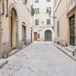 Rent 1 bedroom apartment of 140 m² in Firenze