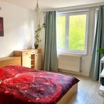 Huur 1 slaapkamer appartement in Tervuren