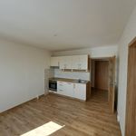 Rent 1 bedroom apartment in Jindřichův Hradec