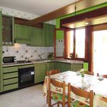 Rent 1 bedroom apartment of 35 m² in San Michele al Tagliamento
